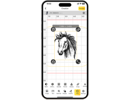 laserpecker design-1