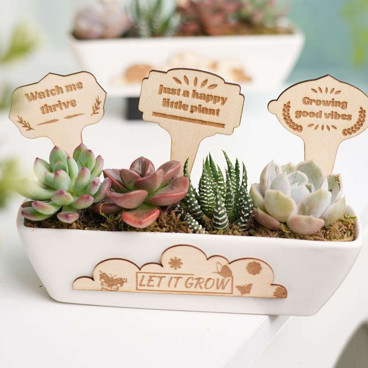 Styled lifestyle photo showcasing laser-engraved wooden plant markers as decorative accessories for a succulent planter, with phrases like "Watch me thrive", "Just a happy little plant", "Growing good vibes", and "LET IT GROW" engraved on them, demonstrating the creative application of laser engraving wood blanks.